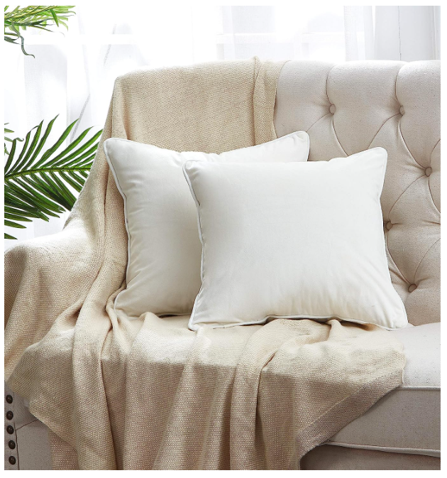 2-Pack Velvet Throw Pillow Covers, Cream White Home Beyond & HB Design
