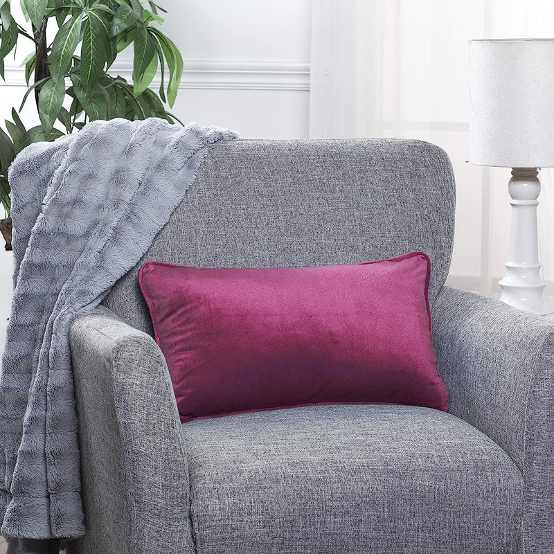 2-Pack Velvet Throw Pillow Covers, Burgundy Home Beyond & HB Design